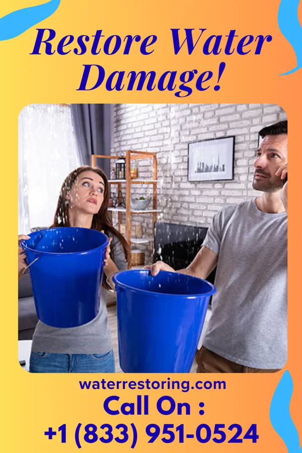 water restoration Universal Water Removal LLC Lignite